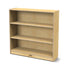 Bookcase with Adjustable Shelves
