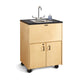 CleanHandsHelperPortableSink-38_Counter-StainlessSteelSink-PlumbingRequired