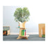 Nature View Tree Book Shelf