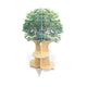 Nature View Tree Book Shelf