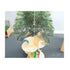 Nature View Tree Book Shelf
