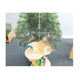 Nature View Tree Book Shelf