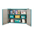 Rainbow Accents Lockable Wall Cabinet