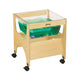 See-Thru Mini Sensory Table