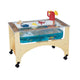 See-Thru Sensory Table